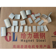 Customized Arc Magnet Use For Motors